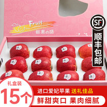 American Aifei ENVY Apple 8 12 15 gift box in stock import fresh fruit SF