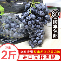 Spot seedless black 2 pounds of fresh blackcurrant grapes imported from the grapes seasonal pregnant women fruit SF
