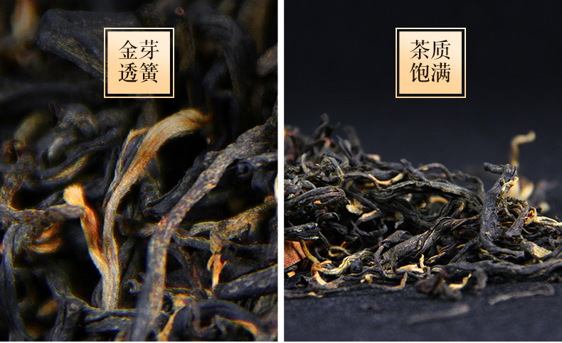 MAO FENG_13.JPG
