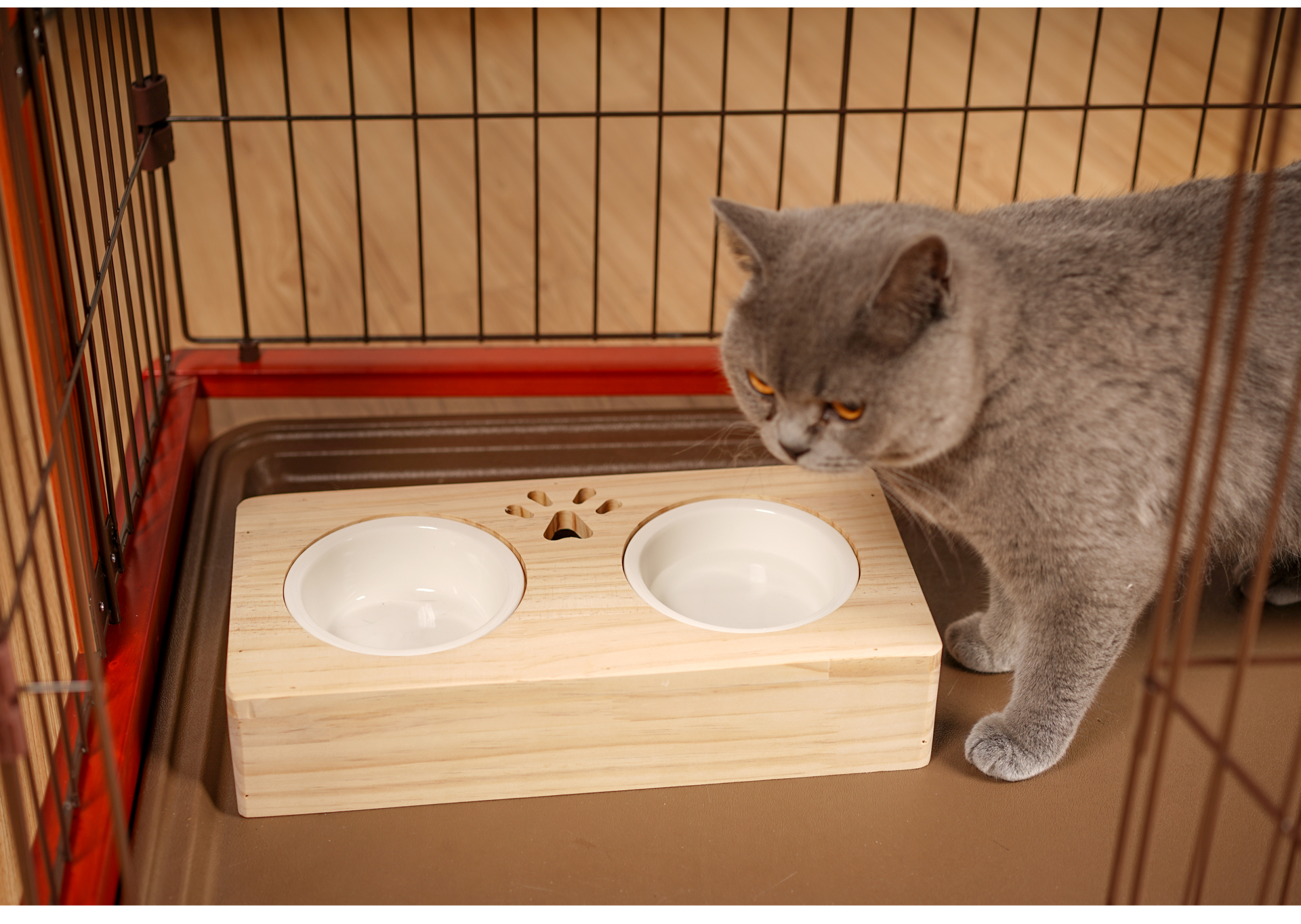 Double bowl basin cat cat cat bowl bowl dog bowl tub pet ceramic cat food rice basin cat food bowl of cat products