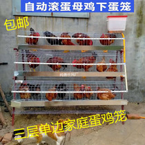 Laying hen cage unilateral three-layer 4-cage ladder-type chicken and duck breeding cage household hen laying egg cage
