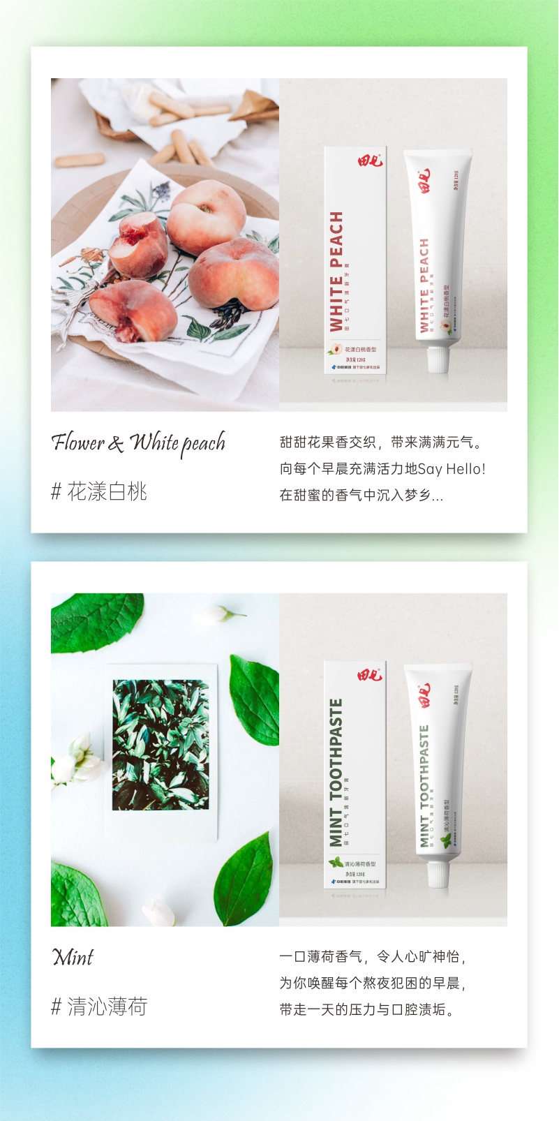 田七 口气清新牙膏 120g*3支 清火去黄去口臭 不含氟 图8