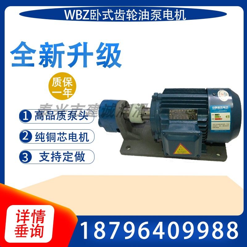 WBZ-16 25 20 32JZ horizontal gear oil pump motor unit 1 1 0 75 1 5KW three-phase WBZ2 - Taobao