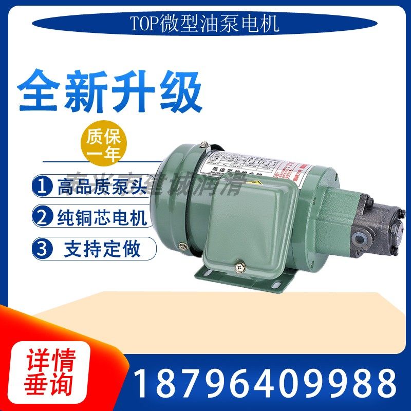 TOP-12A Triangular Gear Oil Pump Motor ROP-11A 13A 10A Circulating Lubrication 1 4HP Three Phase 200W