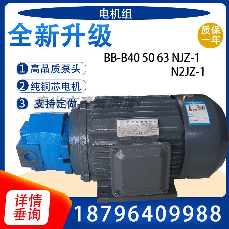 BB-B40NJZ-1 cycloid gear oil pump motor BB-B50N 63N1JZ-1 2 2KW three-phase N2JZ-1
