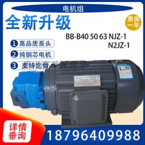 BB-B40NJZ-1 Cycloidal gear oil pump motor BB-B50N 63N1JZ-1 2 2KW three-phase N2JZ-1