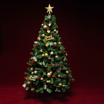 2023 New Encrypted Golden Christmas Tree Christmas Foreign Trade Export Decorative Supplies Outdoor Home Package Ornaments