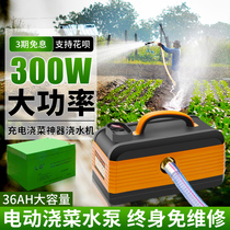 Rechargeable vegetable garden watering machine electric pump agricultural irrigation deep well self-priming pump 24v water pump