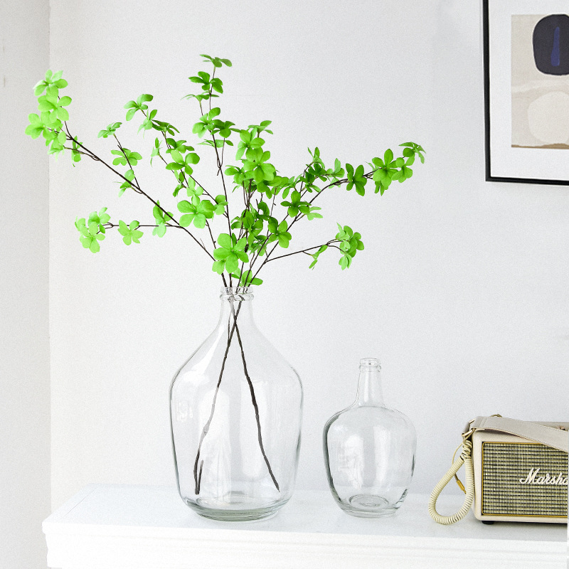 Glass vase transparent flower arrangement hydroponics small caliber hydroponics extra large creative small fresh Nordic dining table dried flowers