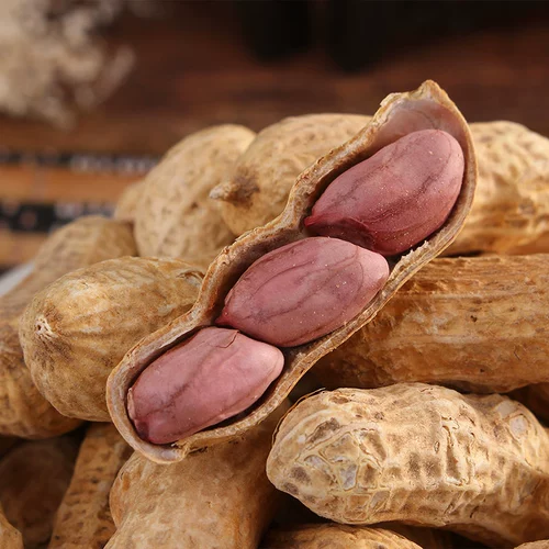 Аромат молока арахис 500GX1 мешки для закусок Специальная приготовление пищи с арахисом раковины 1 кот. Случайная закуска еды