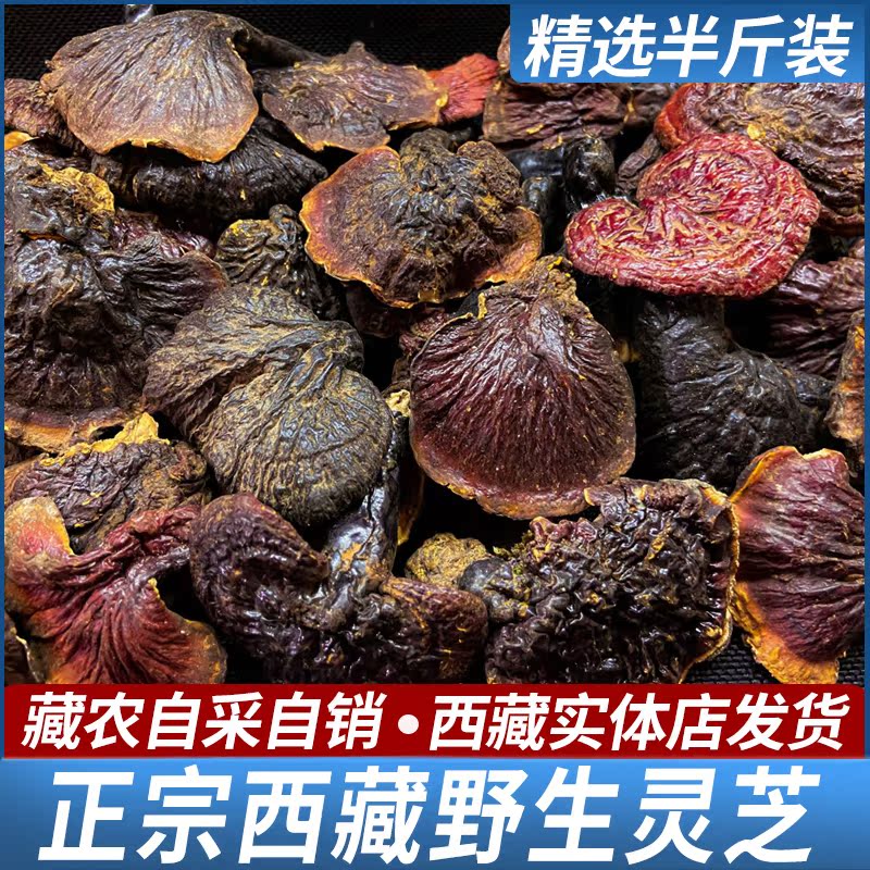 Tibet wild Ganoderma Lucidum Authentic Nyingchi specialty Red Ganoderma lucidum high altitude dry whole 250g gift box Red Ganoderma lucidum