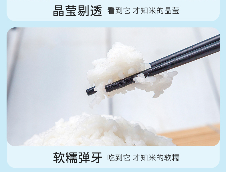 杜家五常大米5斤装有机稻花香正在东北大米