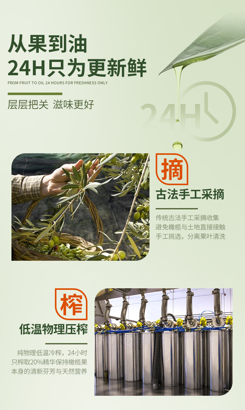 西班牙原瓶进口 特诺娜 特级初榨橄榄油 1L*2瓶 礼盒装 图5