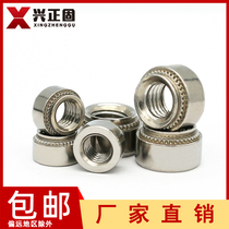 Press riveting nut 304 stainless steel sheet metal press plate screw anchor M2M2 5m3m4m5M6M8M10 compression nut