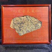 Liao Xi Plant Fossil boutique solid wood framed with original no embellished home pendulum collection