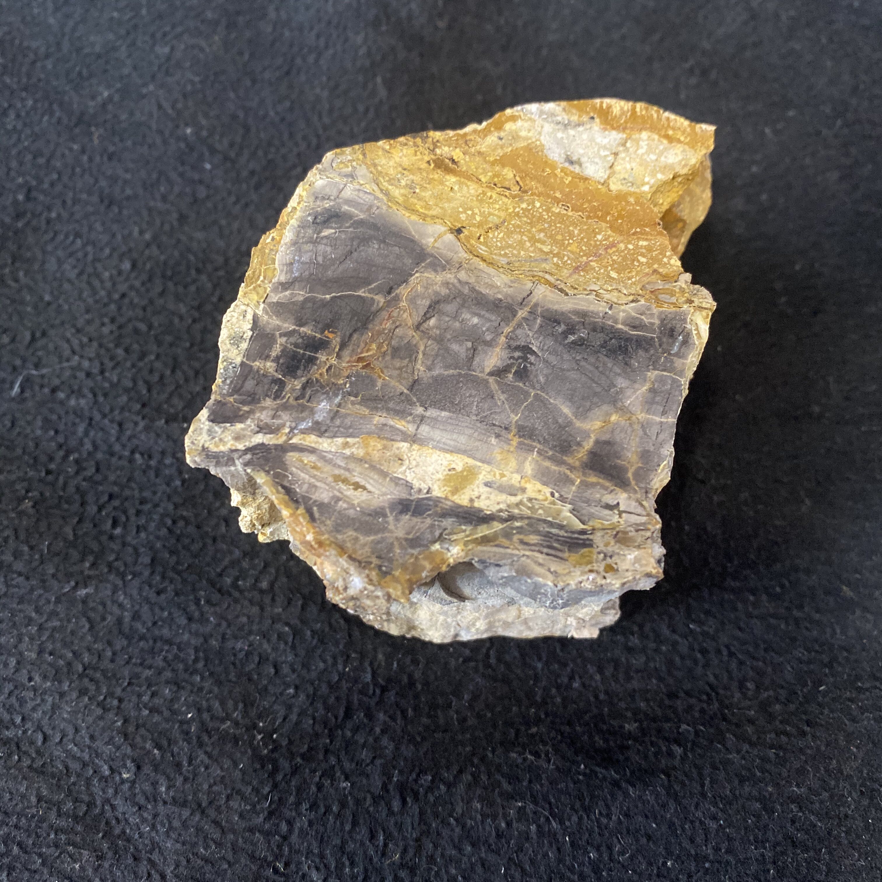 Wood fossil raw stone Liaoxi Chaoyang Beipiao Xiguan petrified wood small ornaments handmade raw materials