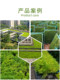 Roof Greening Square Tray Greening Project Planting Water Storage Module Foangera Planting Tray Thickened Tray Plastic Flower Pot