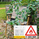 Fire-Resistant B1 Level Flame-Retardant Green Plant Leaves, Artificial Vine Leaves, Hanging Vine Decorations, Ceiling Fake Greenery, Sweet Potato Leaf Vines