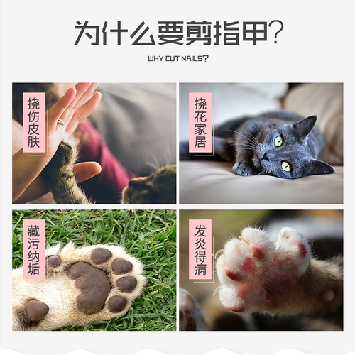 ПЭТ -котенок ногтевой галстук для ногтей с ногтями с ножом.