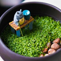 Watch Fish Vat Creative Dragon Cat Fishing Office Living Room Small Landscape Peelgrass Plant Seed Decoration Basin