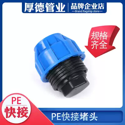 PE pipe fittings pe pipe joints Water pipe fittings pe water supply pipe quick connection choke plug pipe cap 4 points 6 points 1 inch choke plug