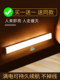 Long Strip Human Body Sensor Night Light with Wireless Self-Adhesive Charging for Wardrobe, Shoe Cabinet, Cabinet Light, Led Under-Cabinet Light, Kitchen