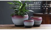 Flower pot hair flower tree rose rose bamboo Jade Tree special simple exquisite coarse sand high-end high-grade 2021 new flower pot
