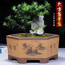 Flower pot 2021 new ceramic antique square deep high Basin rectangular large pot sun flower evergreen high-grade atmosphere