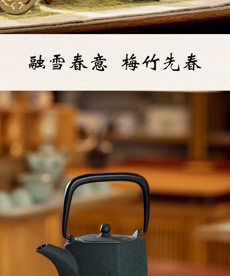 Warbler song'm household electric TaoLu boiled tea tea stove desktop small teapot iron pot of silver remote colored enamel pot of tea