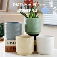 Четыре среднего майя белого лимонного серого зеленого цвета (поднос для отправки)