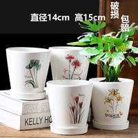 Четыре средних прямых трубок цветут в полном расцвете 𫔭