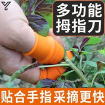 Corn Peel Artifact Agricultural Zanthoxylum bungeanum Gloves Special Tool for Pickling Vegetables Picking Stab-proof Finger Cover Nail Thumb Knife