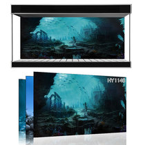 Beauty pet exhibition custom fish tank background Ocean Underwater World one rice sunshine sea fish tank mural HY1148