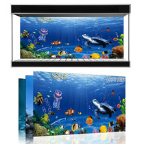 Beauty pet exhibition custom fish tank background Ocean Underwater World one rice sunshine sea fish tank mural HY1165