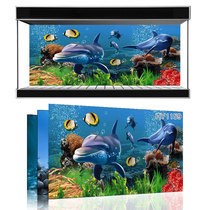Beauty pet exhibition custom fish tank background Ocean Underwater World one rice sunshine sea fish tank mural HY1159