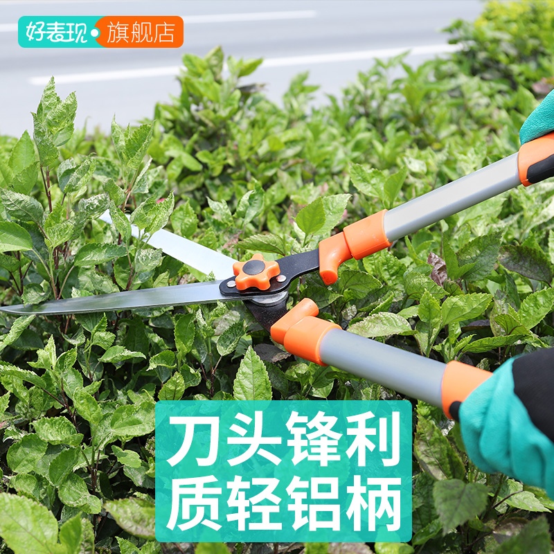 Garden Large Scissors Garden Tool Flower Cutting Cutting Cutting Cutting Fruit Tree Strong Lawn Flower Hedge Cutting