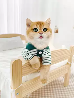 Cute striped polo shirt cat clothes ins thin spring and summer kitten kitten blue cat english short pet clothes