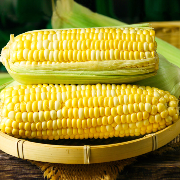 莱口福 新鲜云南水果玉米 9斤 天猫优惠券折后￥24.8包邮（￥39.8-15）