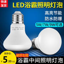 Yuba led lighting bulb 5W9W middle waterproof explosion-proof light source bathroom 275w heating E27 screw small lamp