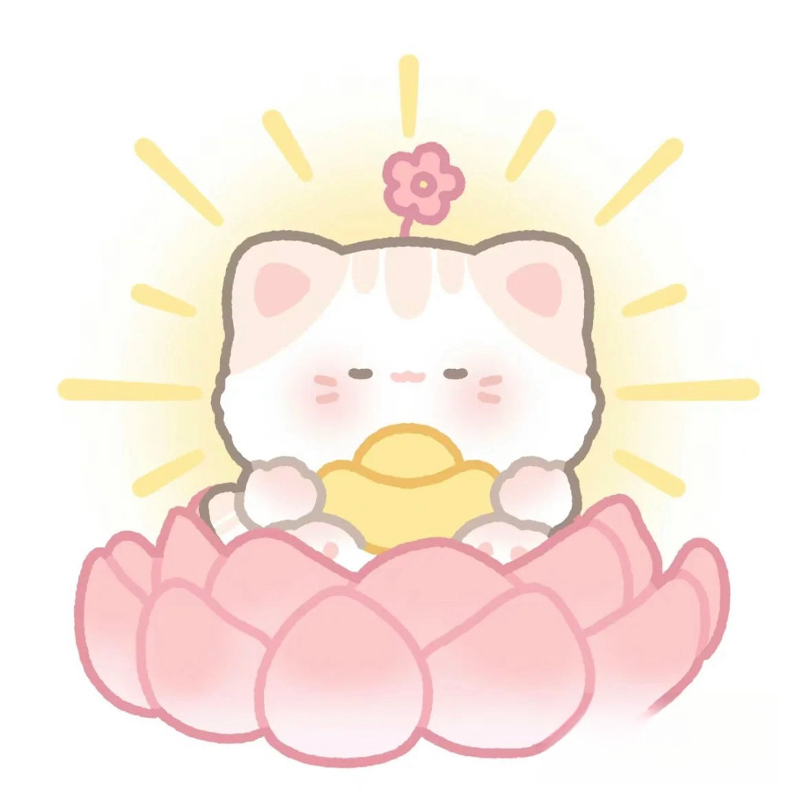 鞋盒日记