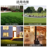 Собачья артефакт с высокой силой ультразвуковой ультразвук на открытом воздухе на открытом воздухе на открытом воздухе на открытом воздухе на открытом воздухе.