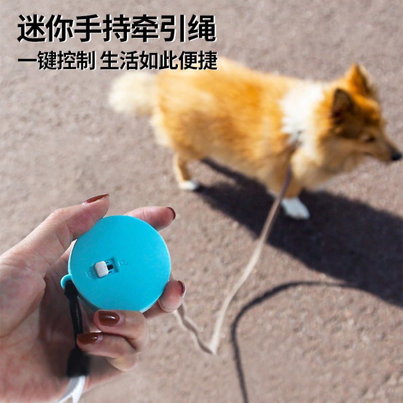 Tippy dog traction rope automatic telescopic tethered dog rope small dog teacup dog Teddy small body dog walking dog deity