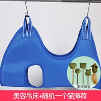 Синий, мятный