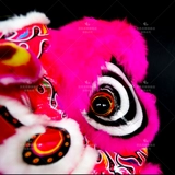 Львиный танцевальный реквизит, целый набор южных львов пробуждает львиную шерсть, южный львовый свет лайт лайт лайон, Фошан Лев голова Дракон Дракон Танцевал Дракон Свет