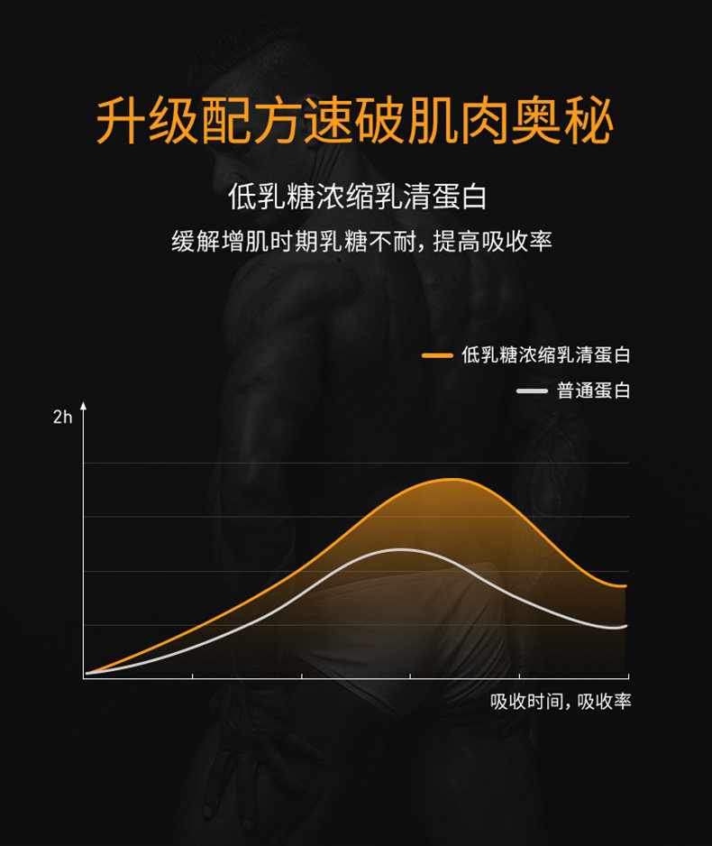 诺特兰德 TG 乳清蛋白粉 3.6磅*2罐 增肌塑形 图7