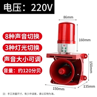 Переключатель Language Language 220V (Manual Model)