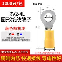 RV2-4L