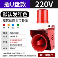 USB-флеш-накопитель, 220v, звуковая система