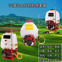 Knapsack sprayer Gasoline sprayer Epidemic fruit tree vegetable dressing Agricultural garden copper pump sprayer