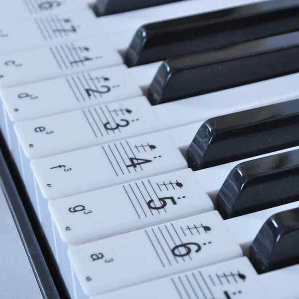 Electronic organ 36-key keyboard sticker electronic organ keyboard sticker key sticker staff notation notation key sticker electronic organ